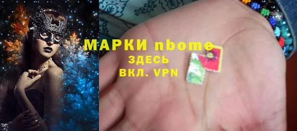 прущие грибы Переславль-Залесский