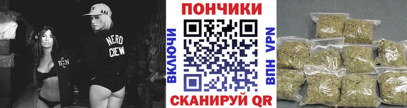 Каннабис план  Сокол 